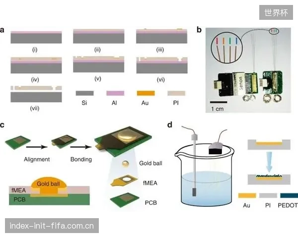 未来三年，竞争将指向压敏胶作为生物电信号（EMG-ECG）采集电极的导电性能与生物相容性